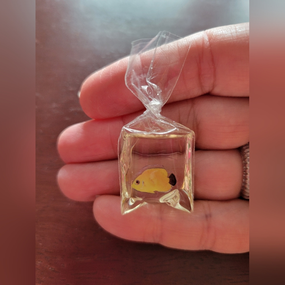 Tiny Fish in A Bag